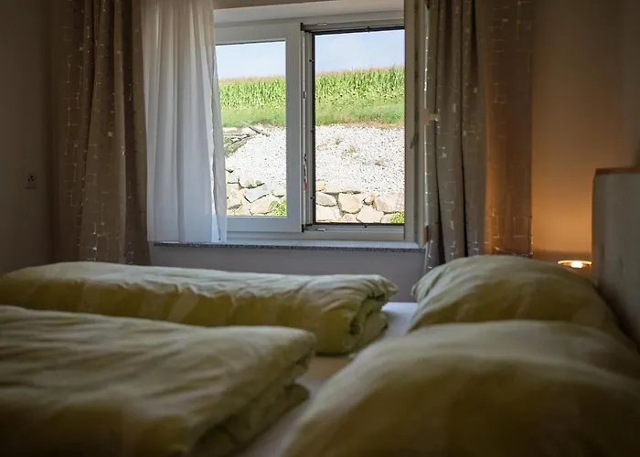 Apartment Mayr-hof *